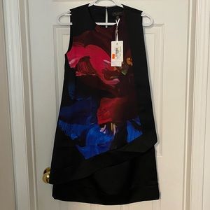 Ted Baker dress, brand new. Size 0